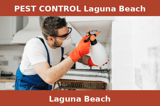 PEST CONTROL Laguna Beach